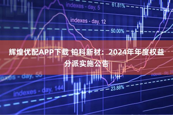 辉煌优配APP下载 铂科新材：2024年年度权益分派实施公告