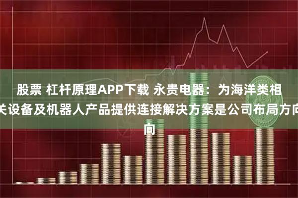 股票 杠杆原理APP下载 永贵电器：为海洋类相关设备及机器人产品提供连接解决方案是公司布局方向