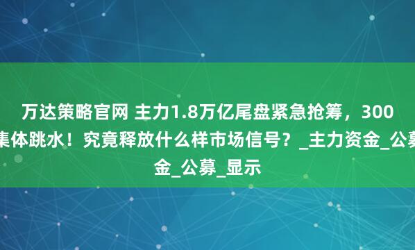 万达策略官网 主力1.8万亿尾盘紧急抢筹，3000股却集体跳水！究竟释放什么样市场信号？_主力资金_公募_显示