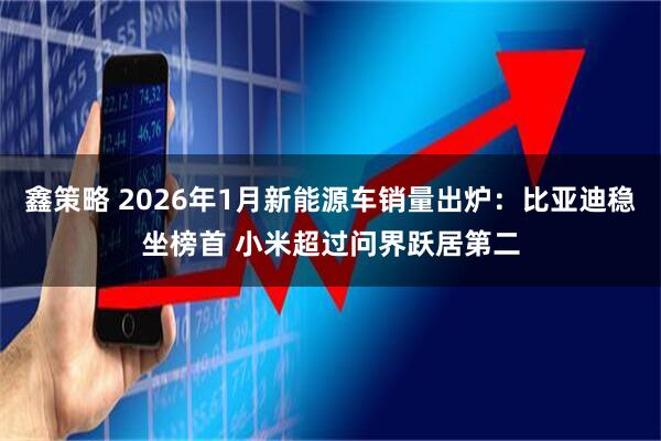 鑫策略 2026年1月新能源车销量出炉：比亚迪稳坐榜首 小米超过问界跃居第二