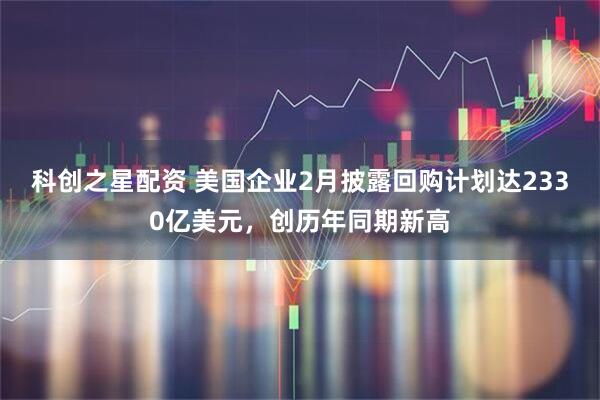 科创之星配资 美国企业2月披露回购计划达2330亿美元，创历年同期新高