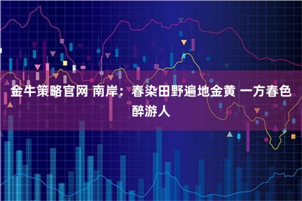金牛策略官网 南岸：春染田野遍地金黄 一方春色醉游人