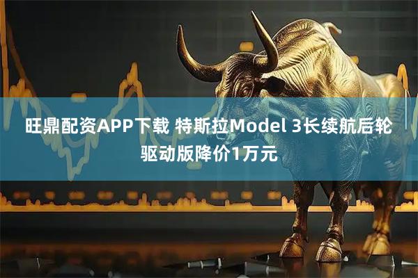 旺鼎配资APP下载 特斯拉Model 3长续航后轮驱动版降价1万元