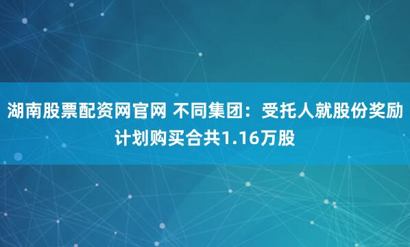 湖南股票配资网官网 不同集团：受托人就股份奖励计划购买合共1.16万股